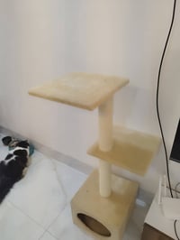 خدّاشة قطط • مستلزمات قطط