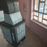 الكنز الباكستاني • استخدام قليل • لمحل بيت كبير