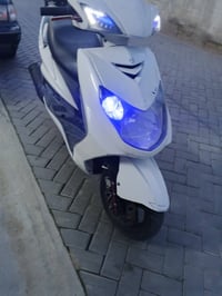 سكنس فحل • كابريتر • مفوله