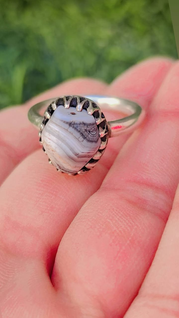 من اجمل خامات الداوودي
ماشاء الله تبارك الرحمن ♥️


**إذا كنت صاحب هذا الإعلان وتريد حذفه لأي سبب، رجاءا أرسل رسالة إلى الدعم الفني**