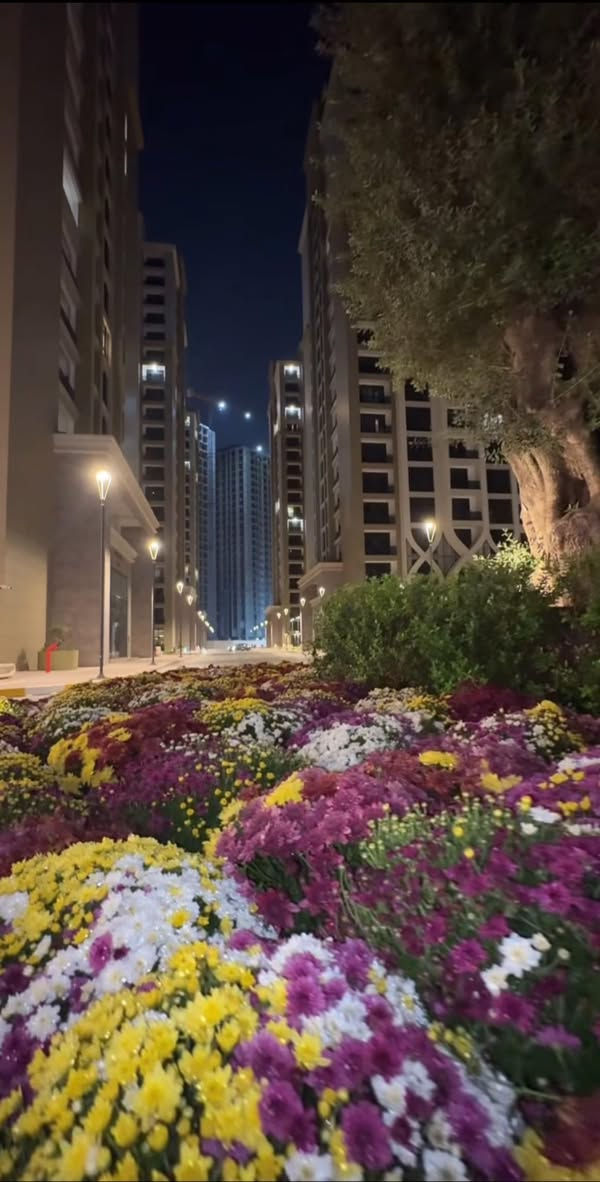 فرصة سكن مميزة

شقة للبيع في 🌴أبراج النخلة – Palm Towers 🌴
مساحة  224 متر
شقة ركنية بإطلالة مميزة
استلام مباشر – جاهزة للسكن
 الطابق الثالث

📞 للاستفسار:***********
