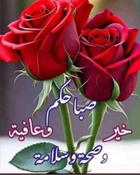 للبيع قطعه ارض ١٤٤ متر واجه ٥ اله جاهزه للبناء منطقه حلوه العنوان الفر...