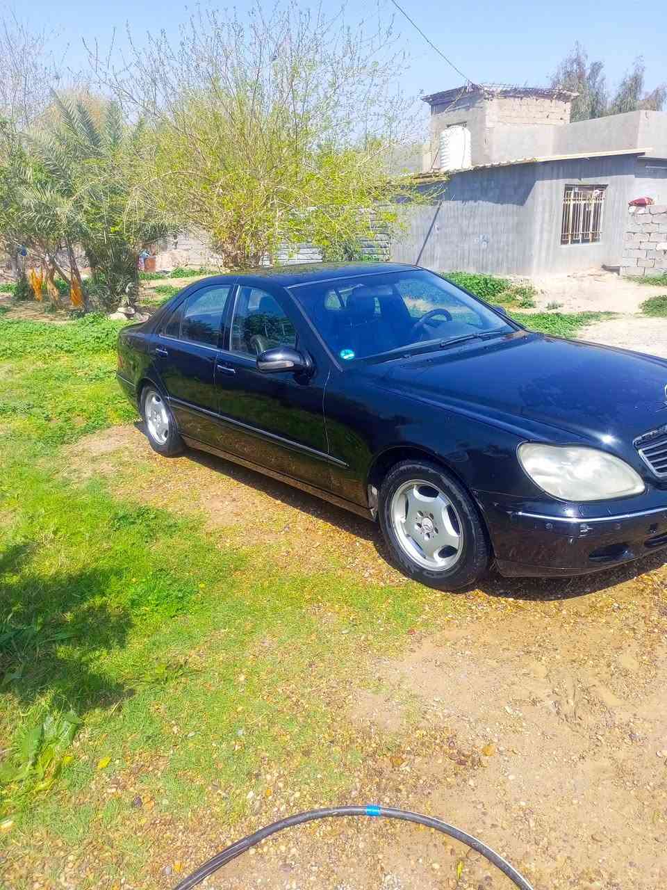 قواصه للبيع موديل 2000 سنويه عضم عاج مشروع وطني كامل مواصفات مراوس او بيع سعر 95
***********
