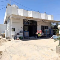 مزرعة ليلان كركوك • دونم ونص • زيتون وتين ورمان