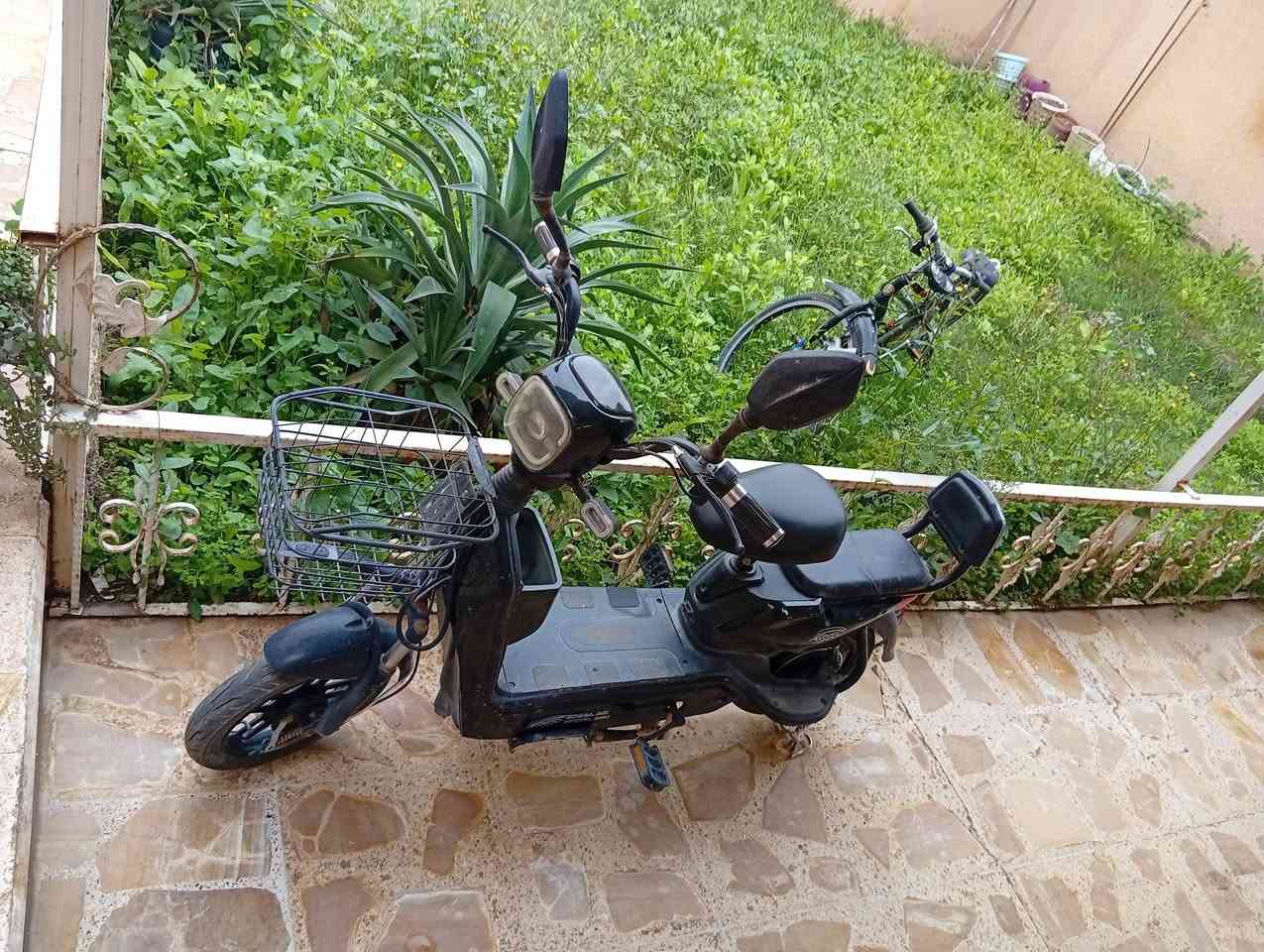 طباخ كريازي بلادي نظيف سعره 200 وبي مجال
تخم بلوك نظيف 7 مقاعد وويا وجه سعره 200 وبي مجال 
نافوره سعره 60 وبيها مجال 
دراجه شحن بطاريات جديده سعرها 200 وبيها مجال 
بايسكل باله نظيف سعره 50 
للاتصال ***********
