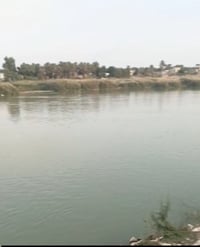 فرصة استثمارية على نهر دجلة تصلح لكل شيء في بغداد التاجي طابو الكاظمية...