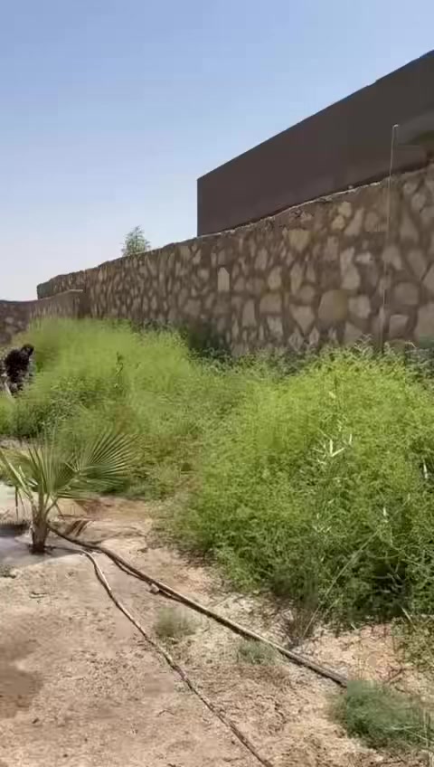 السلام عليكم
قطعه للبيع المساحه 900 متر مسيجه سياج حجر موقع الخيرات  خلف مركز شرطه الخيرات طابو زراعي سند 25 للاستفسار ***********. السعر 85 وبيها مجال
