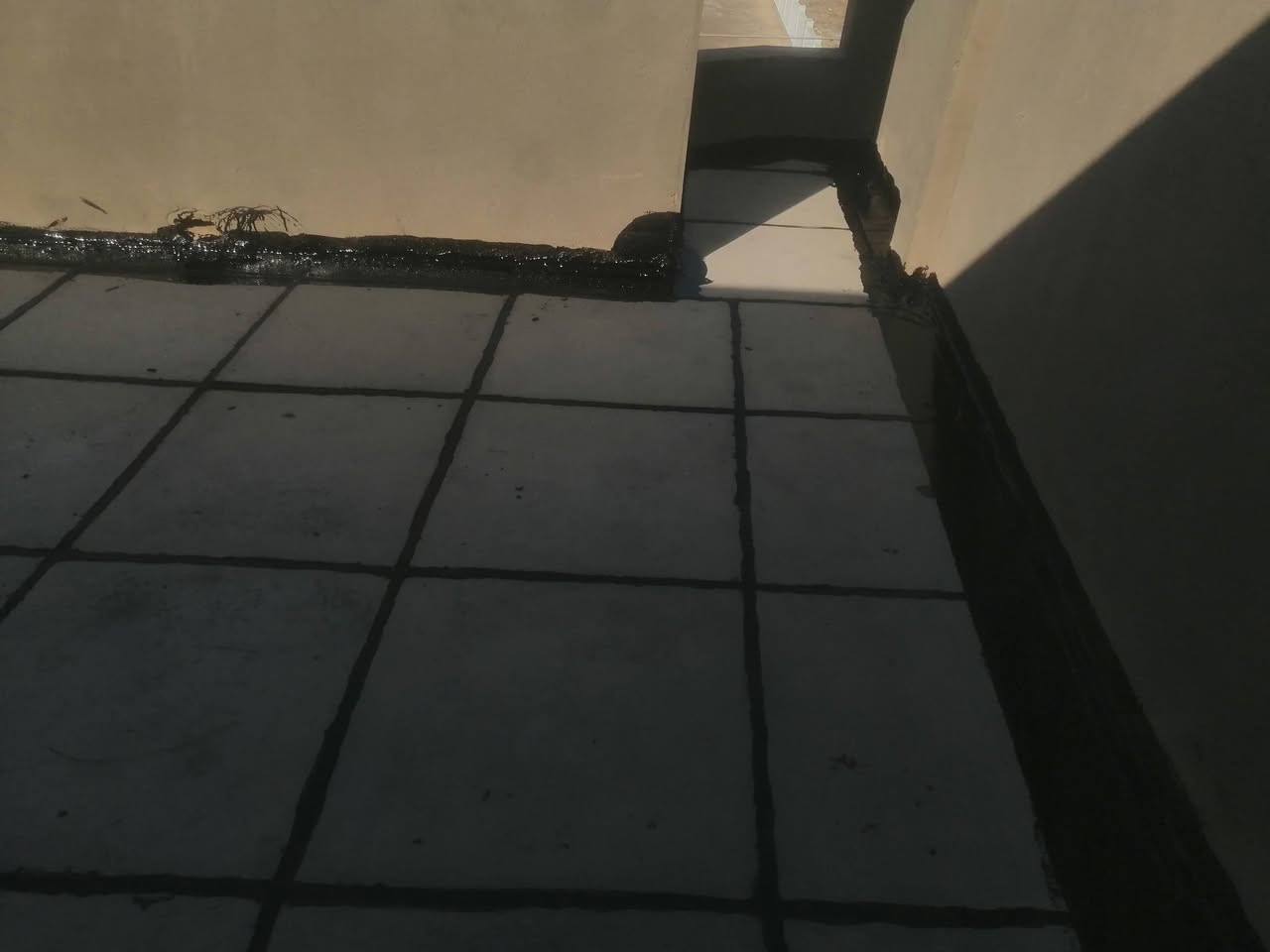 شغل ما تقدر ارجعوا له داخل السماوه ***********
