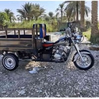 ستوته • موديل 23 • كفالة عام