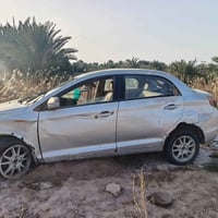 شيري فلاوين • ٢٠١٣ • تماتيك