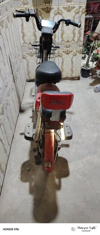 مكفوله • ٢٥٠ • تنومه