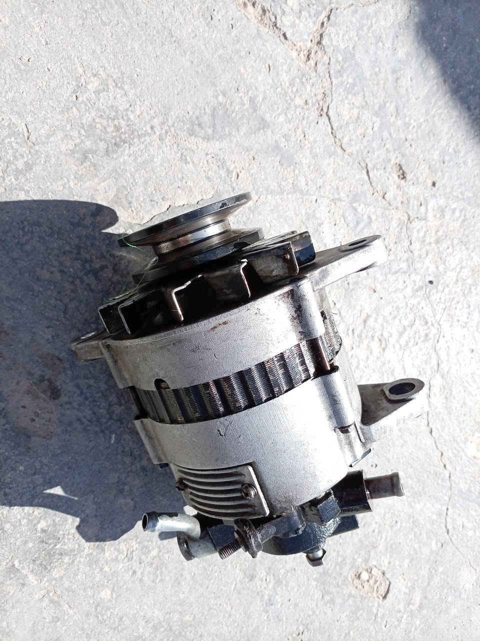 شغالات كلهن ***********
