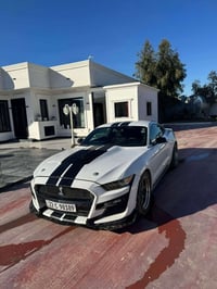 موستانغ • ٢٠١٧ • ٦ سلندر