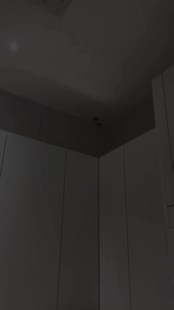 🌧️✨ مرحبًا بكم في عالم الرطوبة والتسريب!  ✨🌧️
في هذا الفيديو الجديد، نكشف لكم كيفية التعامل مع أحد مواقع تسريب المياه بفعالية، ودون الحاجة لتفليش أو أي تعقيدات! 💧🔧

شاهدوا كيف يمكننا تحديد مكان التسريب بدقة وإصلاحه بطريقة سهلة وآمنة. لا تنسوا التواصل معنا لمزيد من النصائح والحلول المتعلقة بالرطوبة والتسريبات.

للحجز وإلاستفسار  ***********

 #تسريب #تسريب #كسر #كسر #عفن #عفن #رطوبه #كسر #رطوبه #رطوبه #رطوبه #كسر #تسريب #عفن
