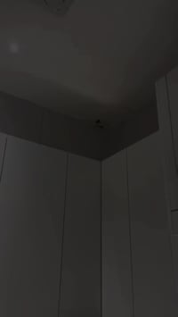 🌧️✨ مرحبًا بكم في عالم الرطوبة والتسريب!  ✨🌧️ في هذا الفيديو الجديد، ن...