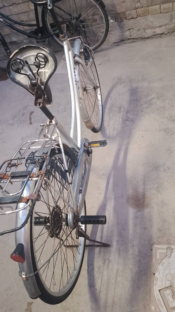 السلام عليكم بايسكل للبيع حجم ٢٦ تايرات مبدلهن جدد حاليآ مو نفس الي بل صوره مع الاجوابه بايسكل حلو ونضيف مختم سعر ٥٠ مكاني بغداد قرب علوه الرشيد


**إذا كنت صاحب هذا الإعلان وتريد حذفه لأي سبب، رجاءا أرسل رسالة إلى الدعم الفني**