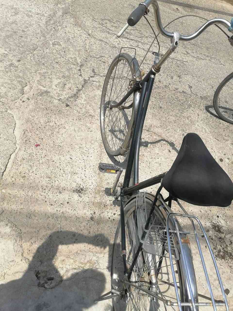 حجم 27 للبيع


**إذا كنت صاحب هذا الإعلان وتريد حذفه لأي سبب، رجاءا أرسل رسالة إلى الدعم الفني**