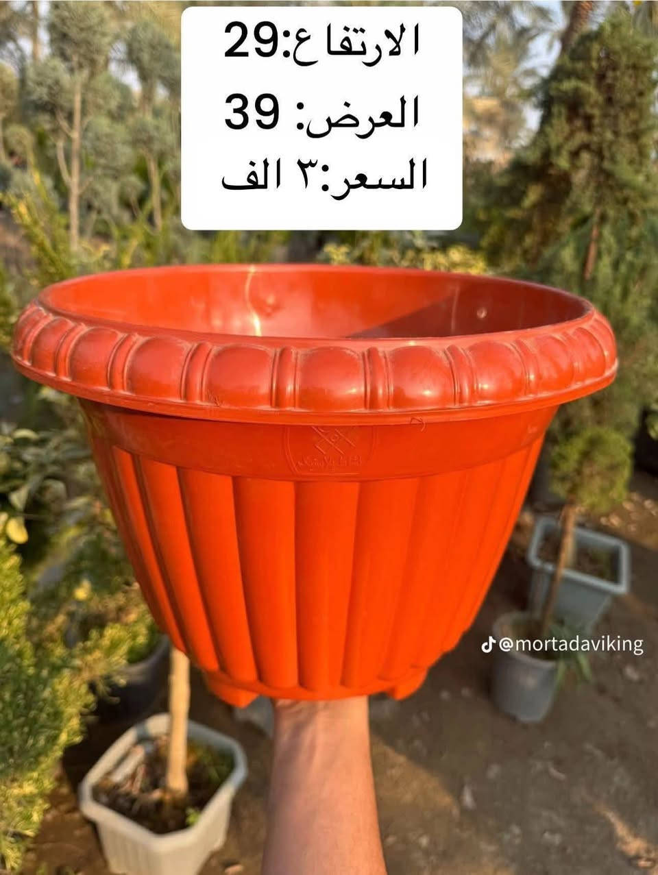 سنادين بلاستك درجة أولى احجام مختلفة ويوجد توصل كافة محافظات العراق
للحجز مراسلة الصفحة او الواتساب ( *********** )
مشتل مرتضى الرئيسي/ حلة طريق كربلاء عمود 96 مقابل أهل الخير 🌿
