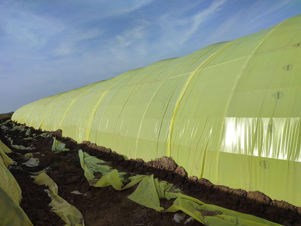 السلام عليكم اخوان بيوت بلاستيكيه عدد ثنين نوعيه اردني ستندر 24 شبه للبيع مكانهن الغراف رقم صاحب البيوت ***********
