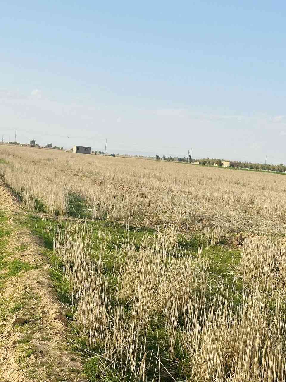 السلام عليكم حصرياً وبسعر روعه اليوم جمعنه مزارع عدد 2 بمنشور واحد
1-شارع الخزيفي

2-شارع الزيتون 

لكم موجز سريع الخزيفي كل الخدمات ماء كهرباء تبليط يبعد 100 متر المساحه 3 دوانم 

الزيتون 7 دوانم ماء كهرباء مكان مميز 

السعر اذا مو بلاش بعد ماانشر 

للاستفسار ***********📞📞

الردود على مدار 24 ساعه 

مسج📩📩📩

الرد📮📮📮
