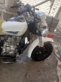 ستوته • دايون • ٢٠١٥