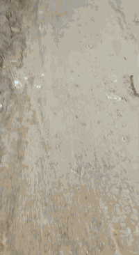 بيت للبيع • ٢٢٠م • شارع الطهمازية