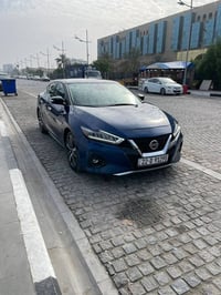 مكسيما SV • ٢٠٢١ • رقم اربيل