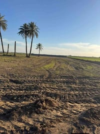 ٤ دوانم • طابو زراعي • تاجي سبع البور