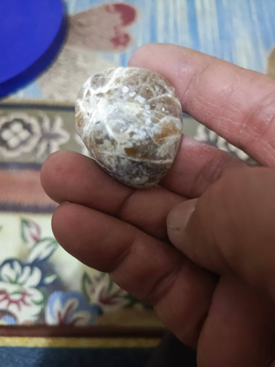 عقيق شجري چراخة البارحة ٢٥ الف كلهة مصورة


**إذا كنت صاحب هذا الإعلان وتريد حذفه لأي سبب، رجاءا أرسل رسالة إلى الدعم الفني**