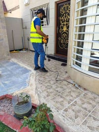الأرضة (المعروفة أيضًا بالنمل الأبيض) من أخطر الحشرات التي تهاجم البيو...