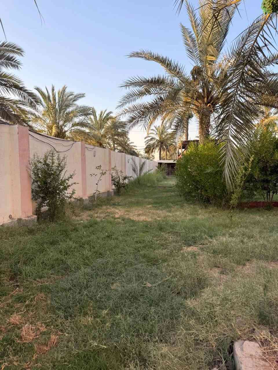 السلام عليكم للبيع 
3000 متر 
كلشي موضح بلصور 
بيه منضومه مي 
منضومه كامرات 
طاقه شمسيه 
بيت طابقين بناء حديث مساحه 270 متر 
شارع مقرنص 
جاهزه من كلشي 
مكان السلاميات اول متنزل جسر طالب سهيل ثاني شارع مكان قريب كلش عل الشعله 
للاستفسار اكثر 
***********
سيد عابدين
