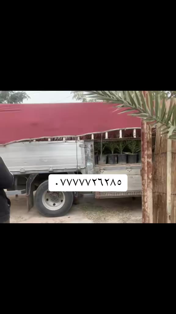 تجهيز احد زبائننا الكرام بفسائل من صنف البرحي 
بواقع ٥ دونم في محافظة بابل


**إذا كنت صاحب هذا الإعلان وتريد حذفه لأي سبب، رجاءا أرسل رسالة إلى الدعم الفني**