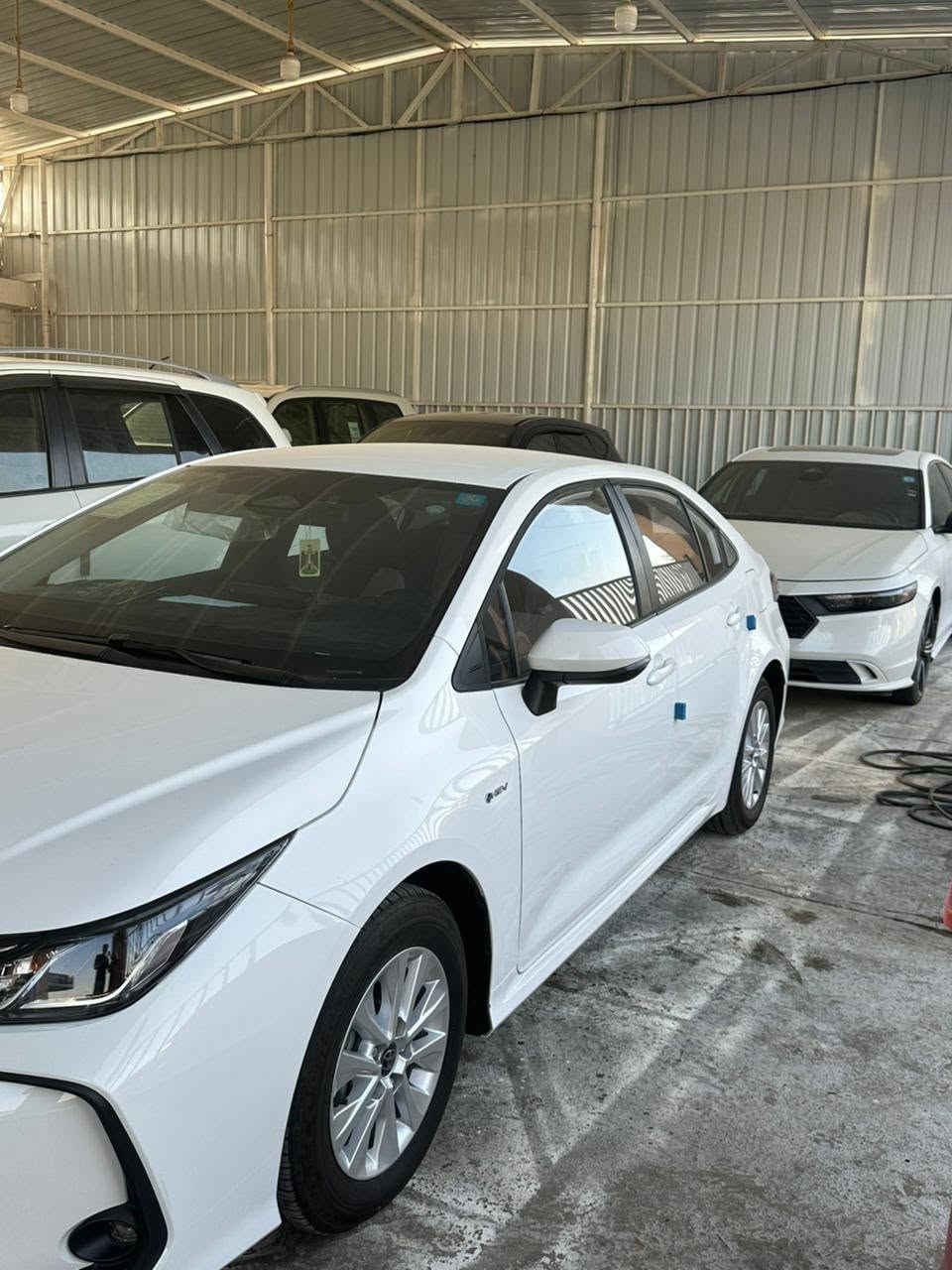 كورلا هايبرد 25
كفالة عامة 
ماشية 8 الاف
بدون فتحة 
شكل خليجي
سعر 151
رقم بغداد


**إذا كنت صاحب هذا الإعلان وتريد حذفه لأي سبب، رجاءا أرسل رسالة إلى الدعم الفني**