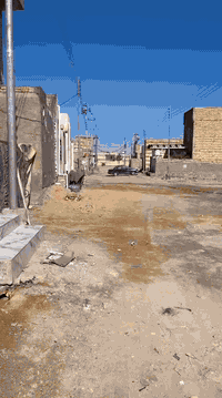 حي النداء • هيكل • ١٠٠م