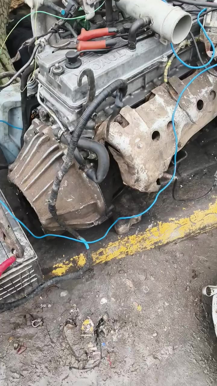 السلام عليكم شباب مكينه ونجي ديلكوولاتنقيص ولاتبغيركامله هيه وميرهه مكاني الحسينيه الراشديه وهااذارقمي ***********السعر٦ورقات وبيهه مجال
