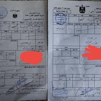 مقاطعة ١٢ الخاوية • قطعتين • ٢٥٠م
