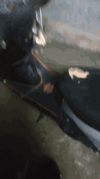 سلام عليكم شباب دراجه بريز ياباني جديده نضافه فول مراوس حسب قناعه واذا بيع ٤٥٠ وبيه مجال مكان بغداد دوره رقم  *********** ‎
