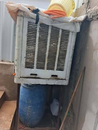 مبرده • كونفيره • ساعه