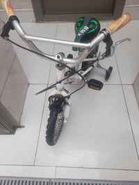 باسكل أوربي • حجم ١٢ • نوعية ممتازة