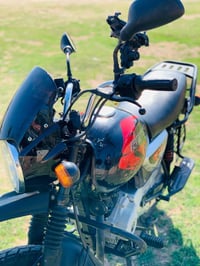 بوكسر • جبلي • ٢٠٢٣