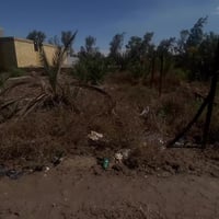 الصخيين - السيطرة القديمة • ٢١٦م • سعر يرضيك