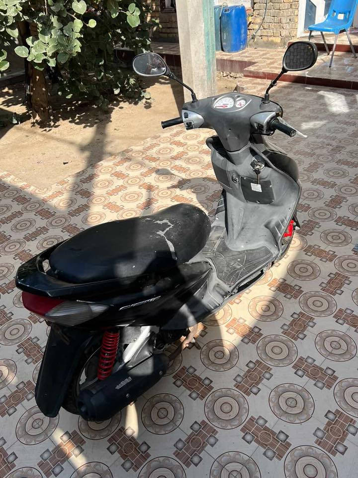 سكنس فحل للبيع السعر ٢٢٥
***********
