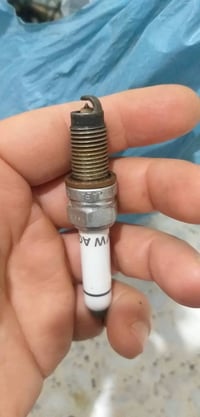 وبركاته توجد وجبة بلكات السيارات الألمانية الموجودة بالصور الي بالمنشو...