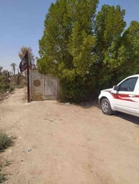 بستان البهادري • ٢٠٠٠م • وقف سني