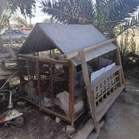 باب خشب • باب حديد • قفص حديد