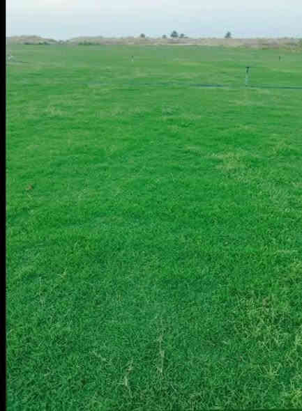 يوجد لدينا ثيل ديالى الطبيعي بكافه انواعه للاتصال يتوفر واتساب ***********
