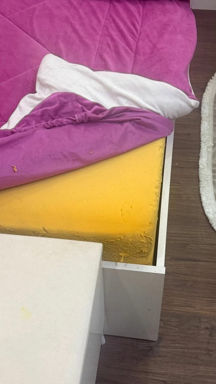 غرفة نوم نفرين تركي ٩ قطع ويه الدوشك اسفنج عراقي ضغط عالي جديد من ١٠ ايام مشتريته  ٤٢٥ الف والتخم هم جديد ١٠ نفرات  ٢٥٠ الف اربيل على طريق كسنزان


**إذا كنت صاحب هذا الإعلان وتريد حذفه لأي سبب، رجاءا أرسل رسالة إلى الدعم الفني**