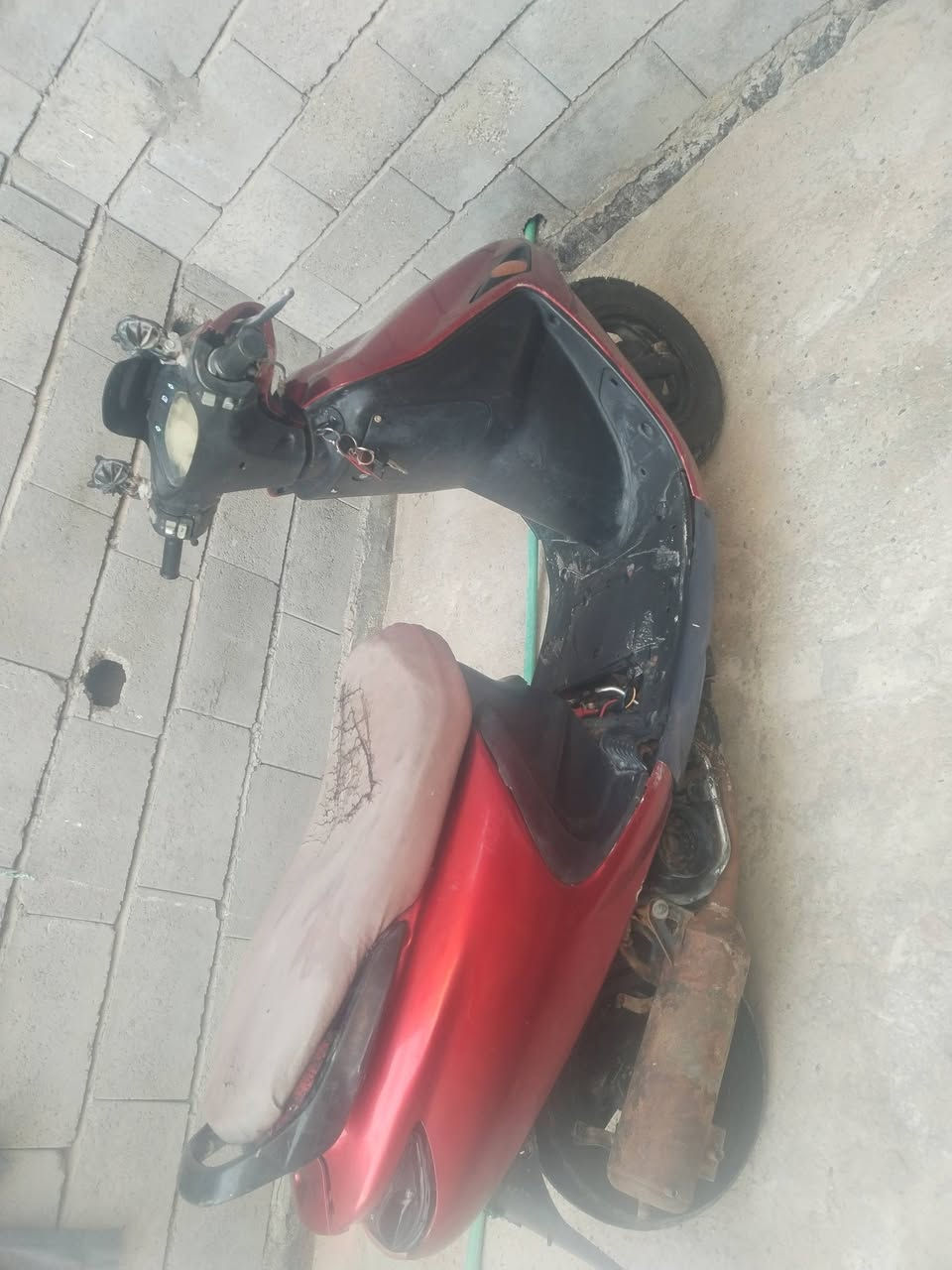سلام عليكم درجه البيع  فراشة  فحل  مكان بصره ابو الخصيب سعر 300  بيه مجال ***********
