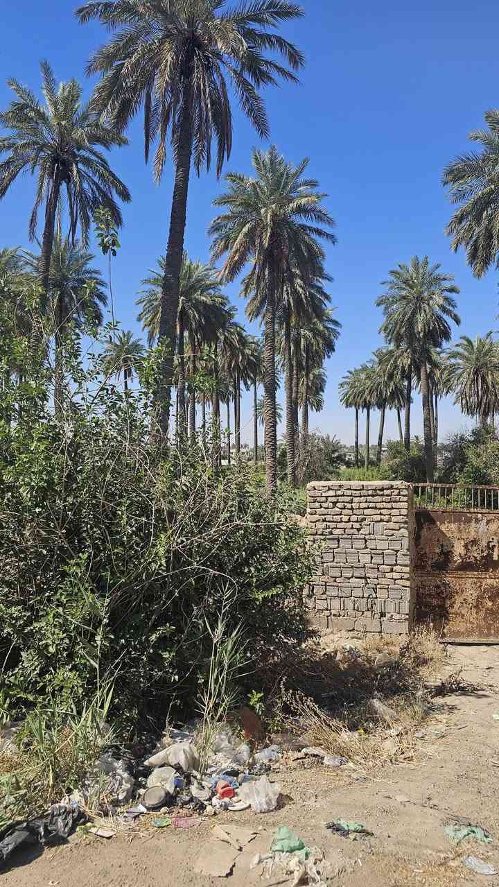 السلام عليكم🇮🇶 (٢)دونم  شاطئيه طابو زراعي سند خمسه وعشرين تحويل مباشر باسم المشتري في بغداد الفحامه قرب جزيرة بغداد السياحيه تبعد دقيقه واحده عن باب الجزيره الثالث الواجهه عملاقه (٧٨م) بالامكان للمستثمر استثماره بمشاريع كثيره حتى المشاريع بالامكان القيام بها فقط عليه راس المال على الشارع الرئيسي التجاري وكما تعرفون هذا الشارع له اهميه كبيره لما يمتاز من مؤهلات مستقبليه وحيويه النزال (٦٥م) للاستفسار الاتصال على الارقام الاتيه الليث الحياني (***********)(***********)بعض الاخوه يسأل عن عدم ذكر السعر احد الاسباب هي من اجل فتح باب اوسع من خلال التواصل فاذا ذكرنا السعر سوف تكتفي بمعرفة السعر وبالقارنه مع امكانيتك سوف تقوم بمغادرة العرض ولكن نحن لدينا الكثير من العروض ممكن تقديمه لحضارتكم من خلال اتصالكم لمعرفة السعر ونحن بدورنا سوف نقوم بتقديم العروض التي تتلائم مع امكانياتكم اسف على الاطاله تحياتي لكم اخوكم العقاري الليث الحياني***********.                                                             ***********
