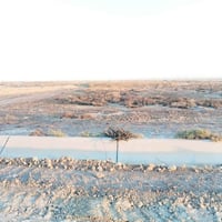 الرمادي الشراع • ٧٤٠م • طابو زراعي